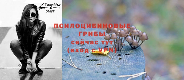 соль ск Ладушкин