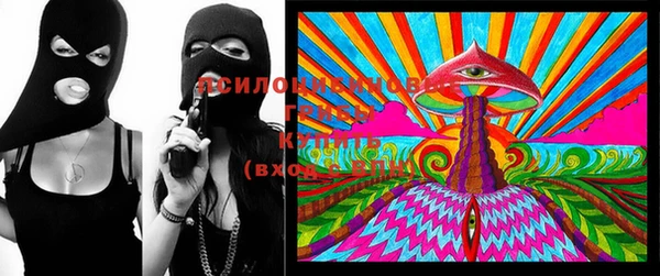 дмт Лабытнанги