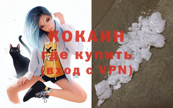 дмт Лабытнанги