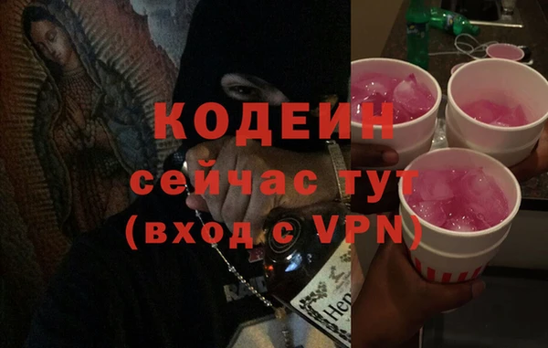 дмт Лабытнанги