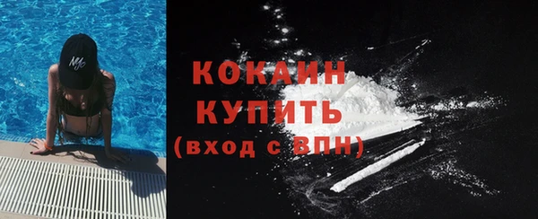 дмт Лабытнанги
