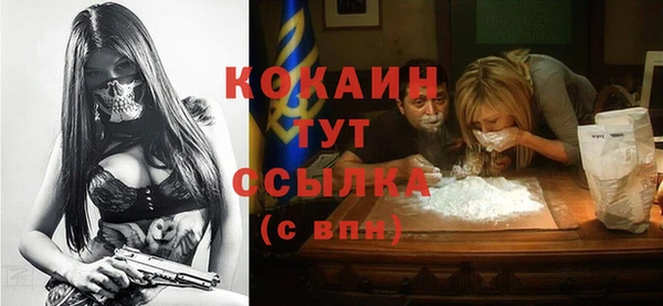 крисы Чегем